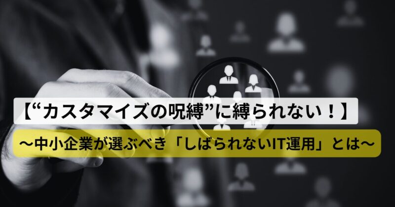 no-code-low-code-customization-risk